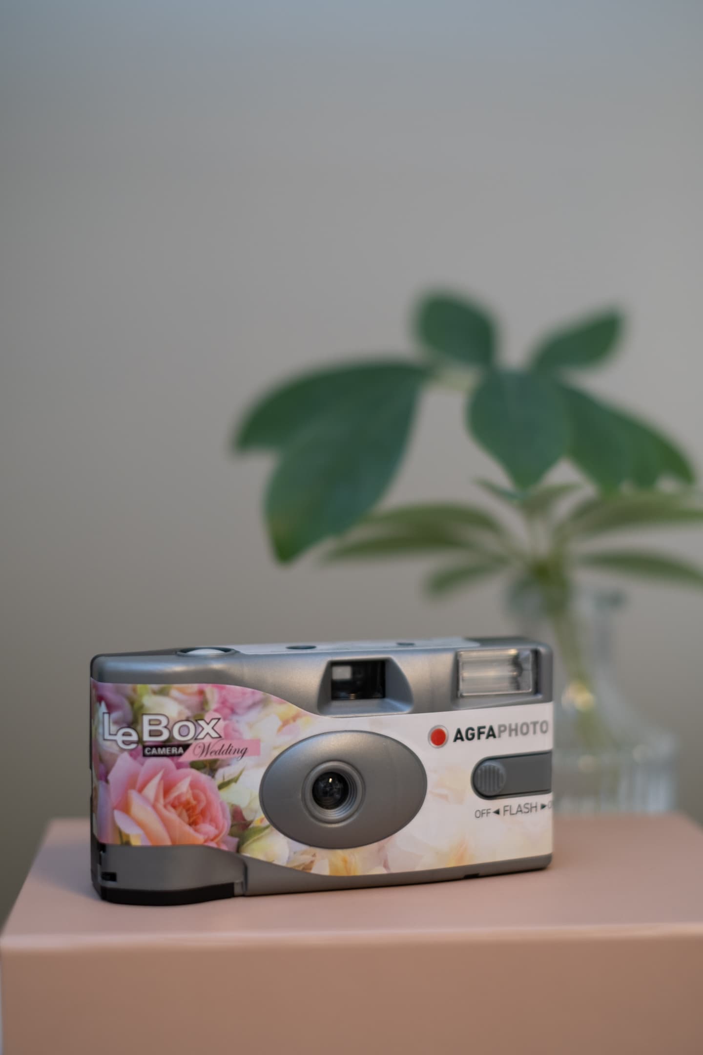 Bilde av AgfaPhoto LeBox Wedding – Engangskamera med blits for bryllup-27 bilder