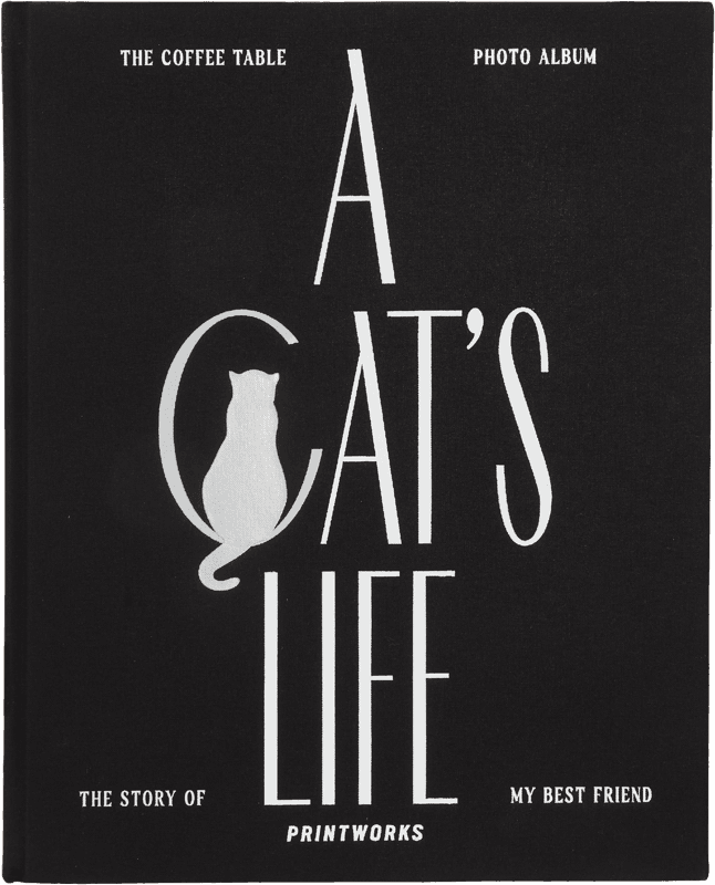 Bilde av Printworks album A cat's life