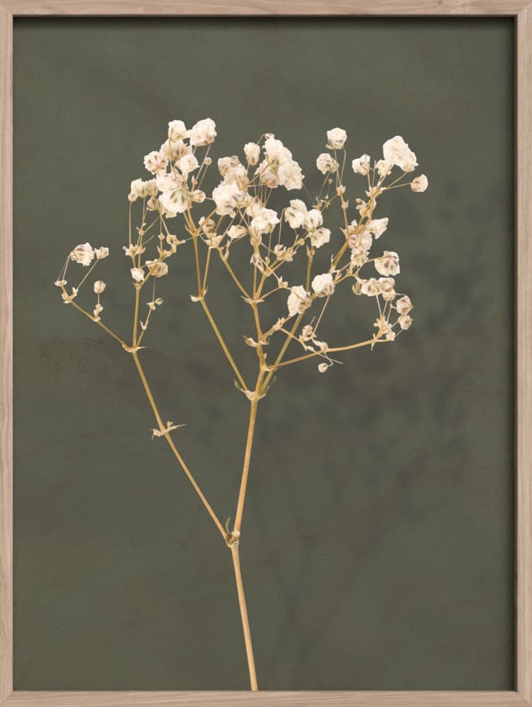 Bilde av Innrammet canvas Boho II 60x80
