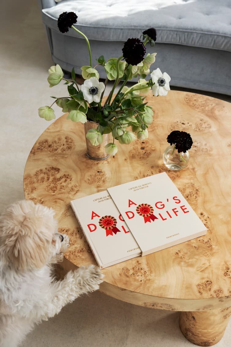 Bilde av Printworks Hundedagbok “A Dog’s Life”
